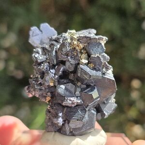 Spinel Twinned Galena Bulgaria